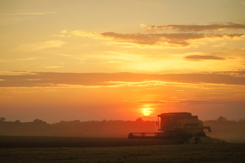 IPEA prevê alta do PIB Agropecuário de 11,6% em 2023