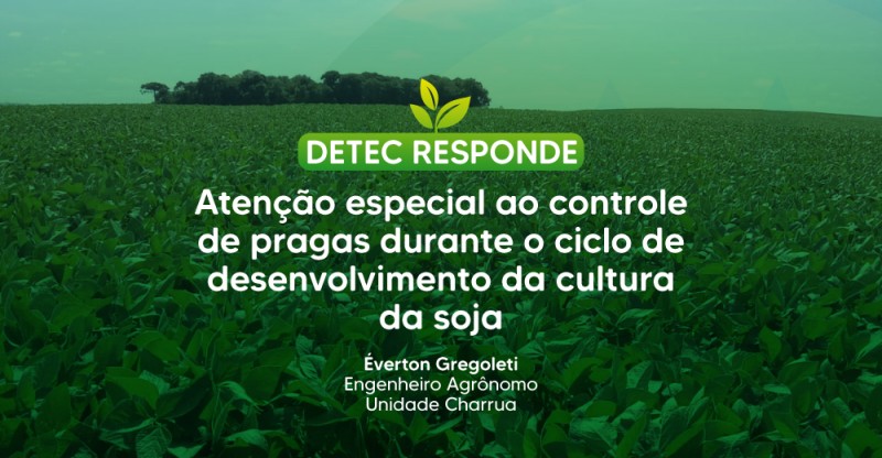 Atenção especial ao controle de pragas durante o ciclo de desenvolvimento da cultura da soja