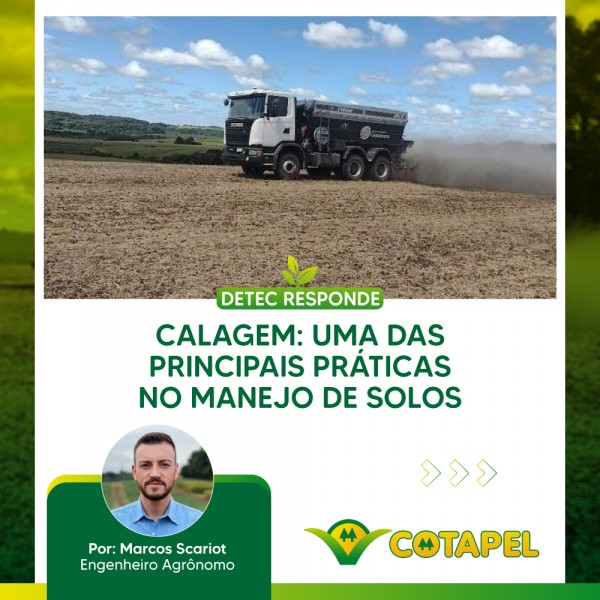 Calagem: Uma das principais práticas no manejo de solos