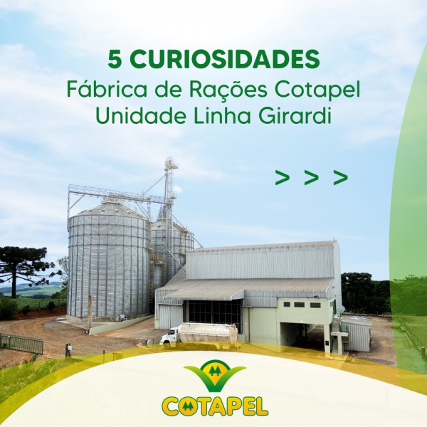 Curiosidades Fábrica de Rações Cotapel