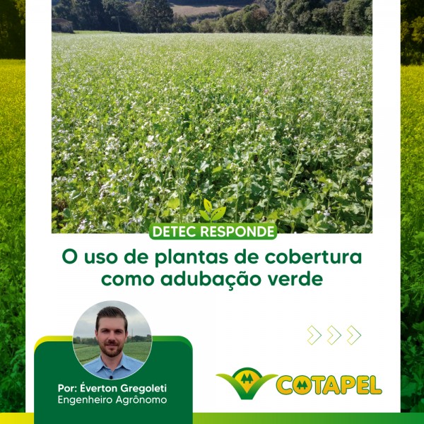 O USO DE PLANTAS DE COBERTURA COMO ADUBAÇÃO VERDE