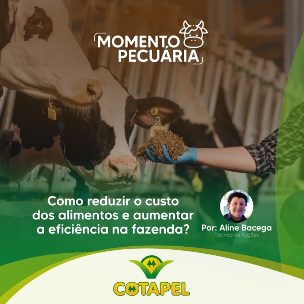 Como reduzir os custos e aumentar a eficiência na fazenda