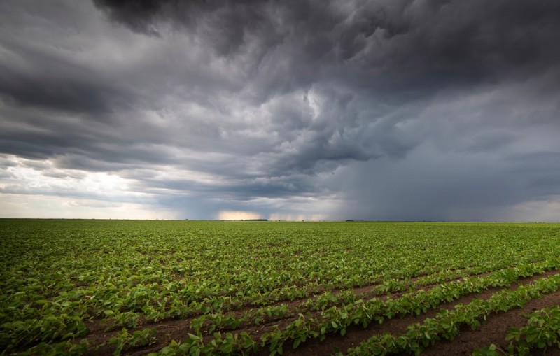 Em meio a clima chuvoso, colheita de soja avança