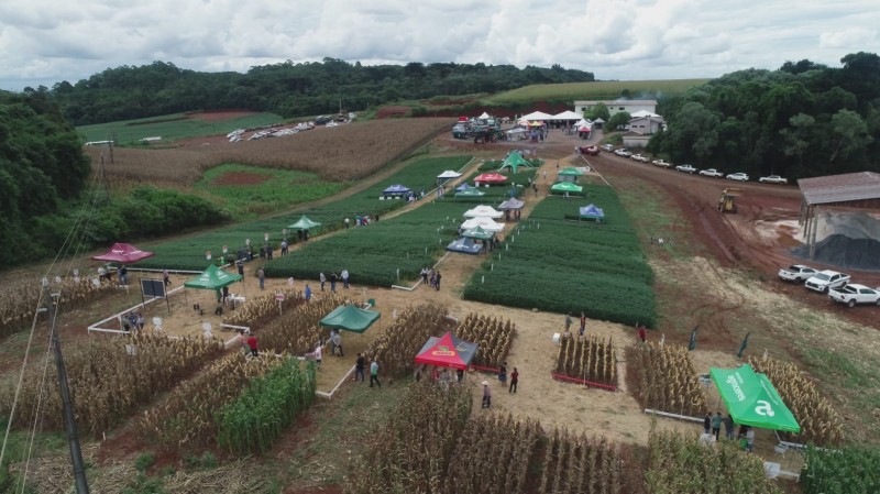 Dia de Campo da Cotapel reúne empresas e produtores à procura de tecnologias