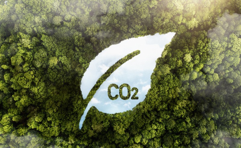 Cuidar do meio ambiente aumenta produtividade