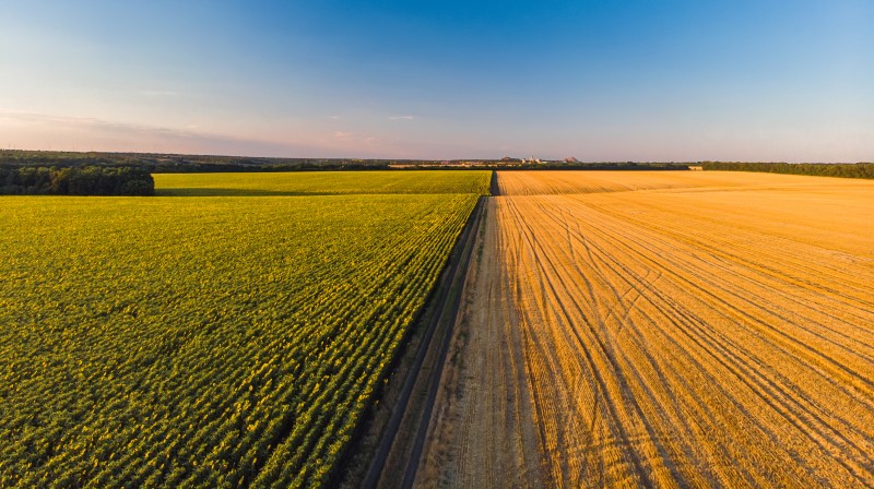 Brasil perto da liderança do agro