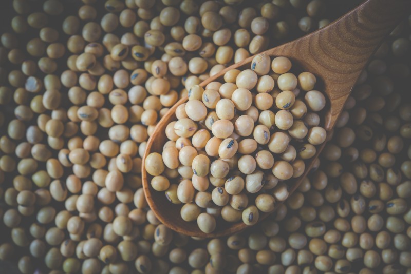 Produção global de soja cresce 1,62%