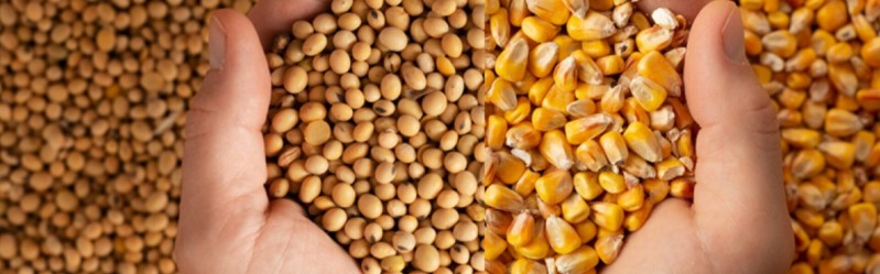 Alta nos preços de soja, trigo e milho aquece o mercado
