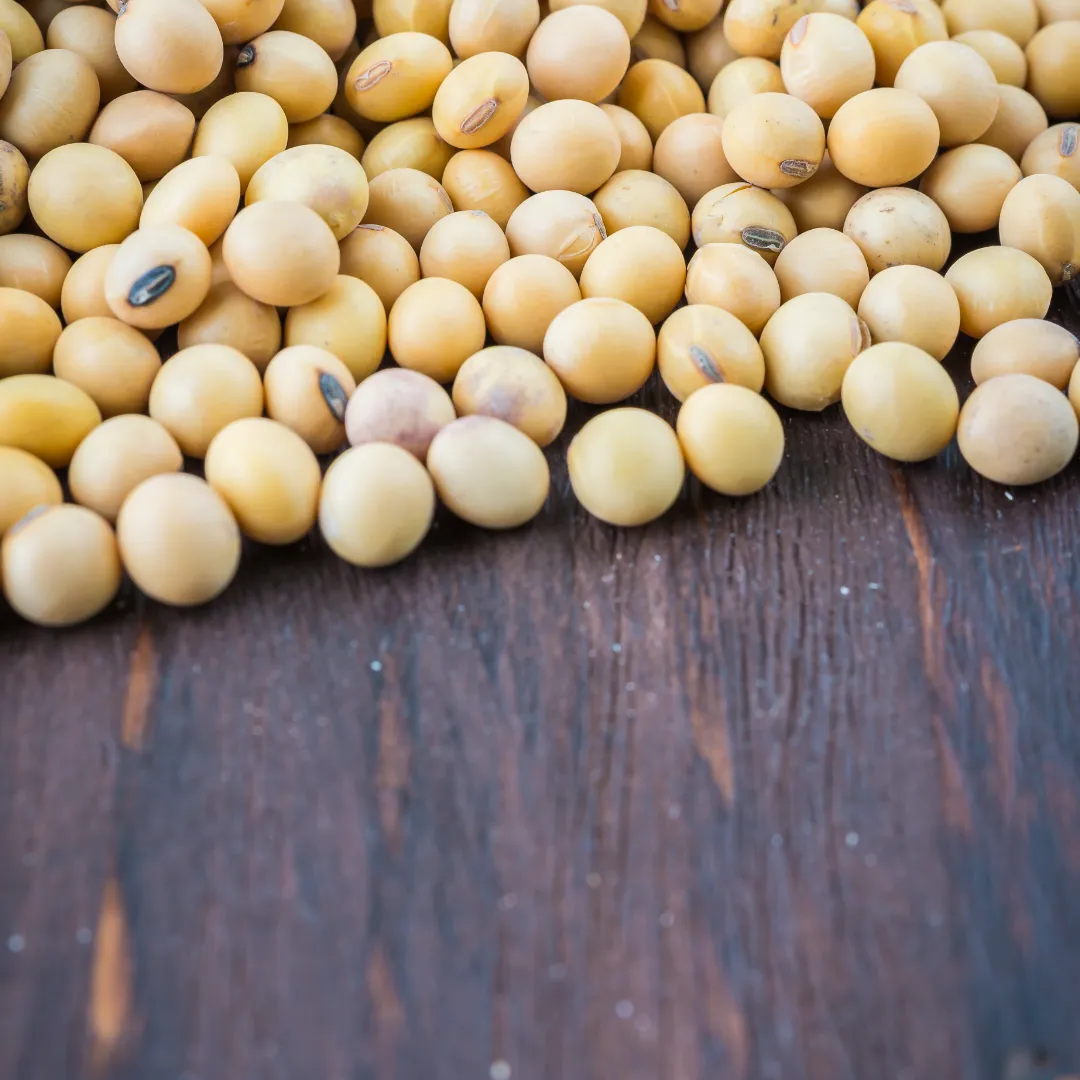 Confira como está o mercado da soja