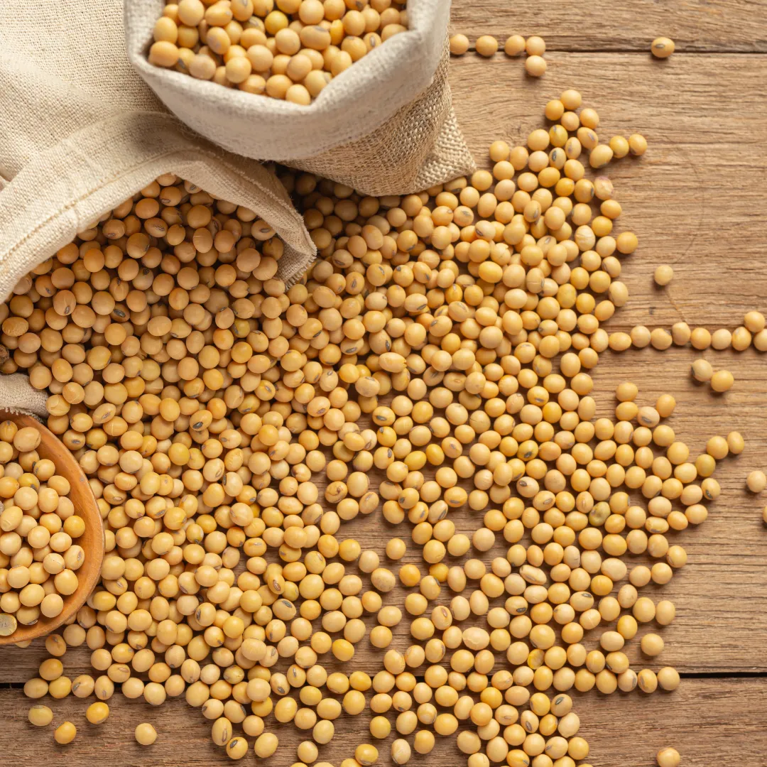 Venda de soja segue lenta