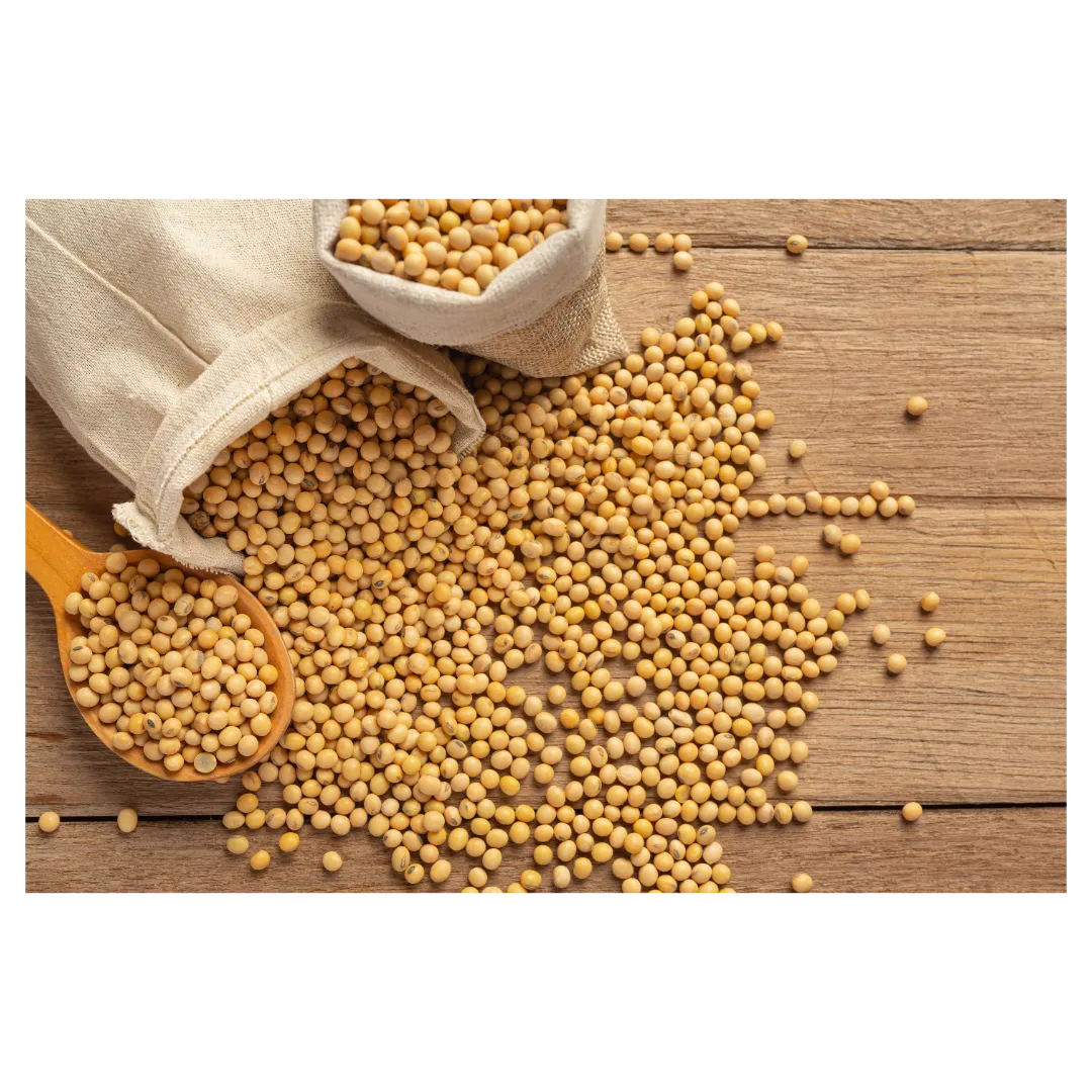 Soja exige atenção à nutrição no fim do ciclo