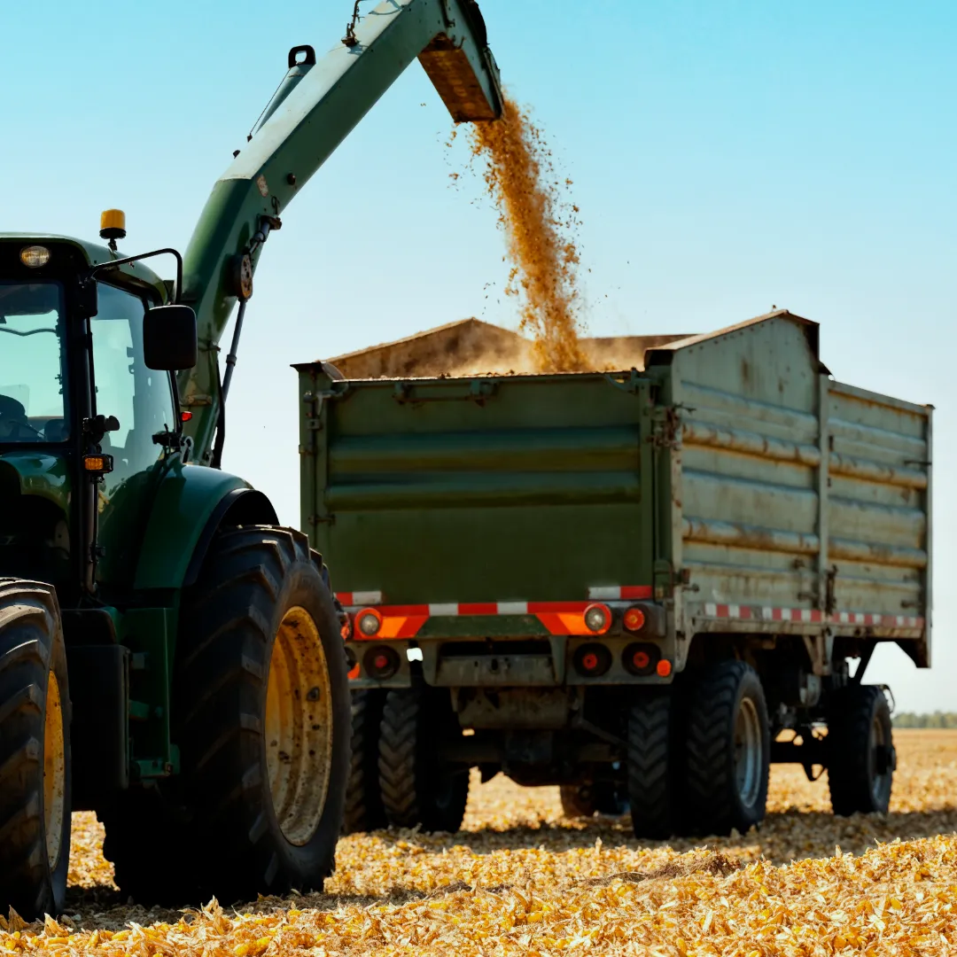 Safra 2026 deve exigir ajustes logísticos