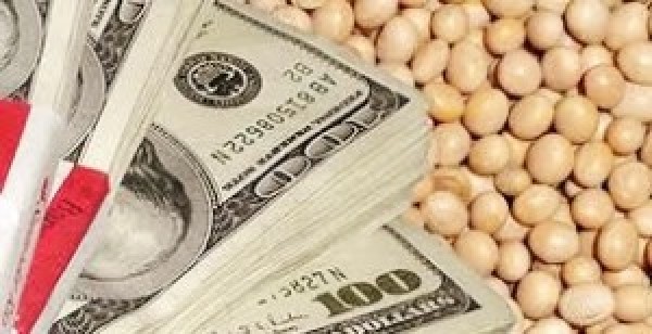  “Soja: Com alta do dólar, preços sobem nos portos e no interior do Brasil”