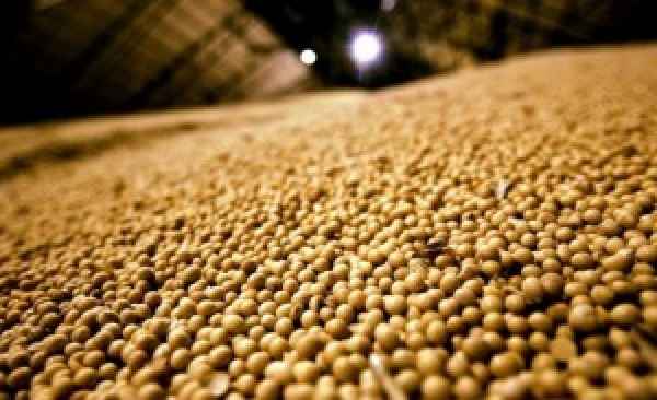  “USDA projeta grande safra de soja e preços recuam no Brasil”