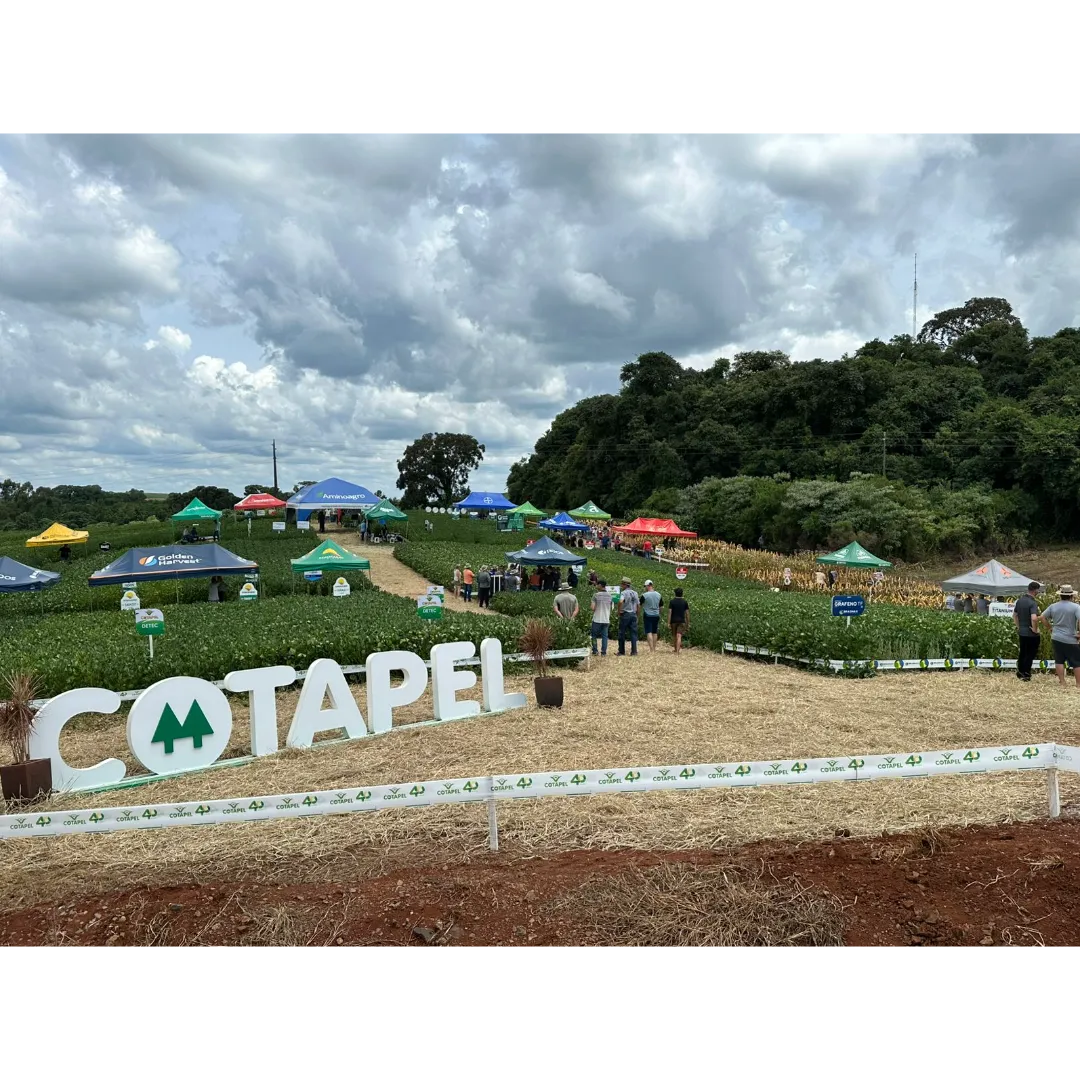 Cotapel realiza tradicional Tarde de Campo com grande participação de associados e clientes