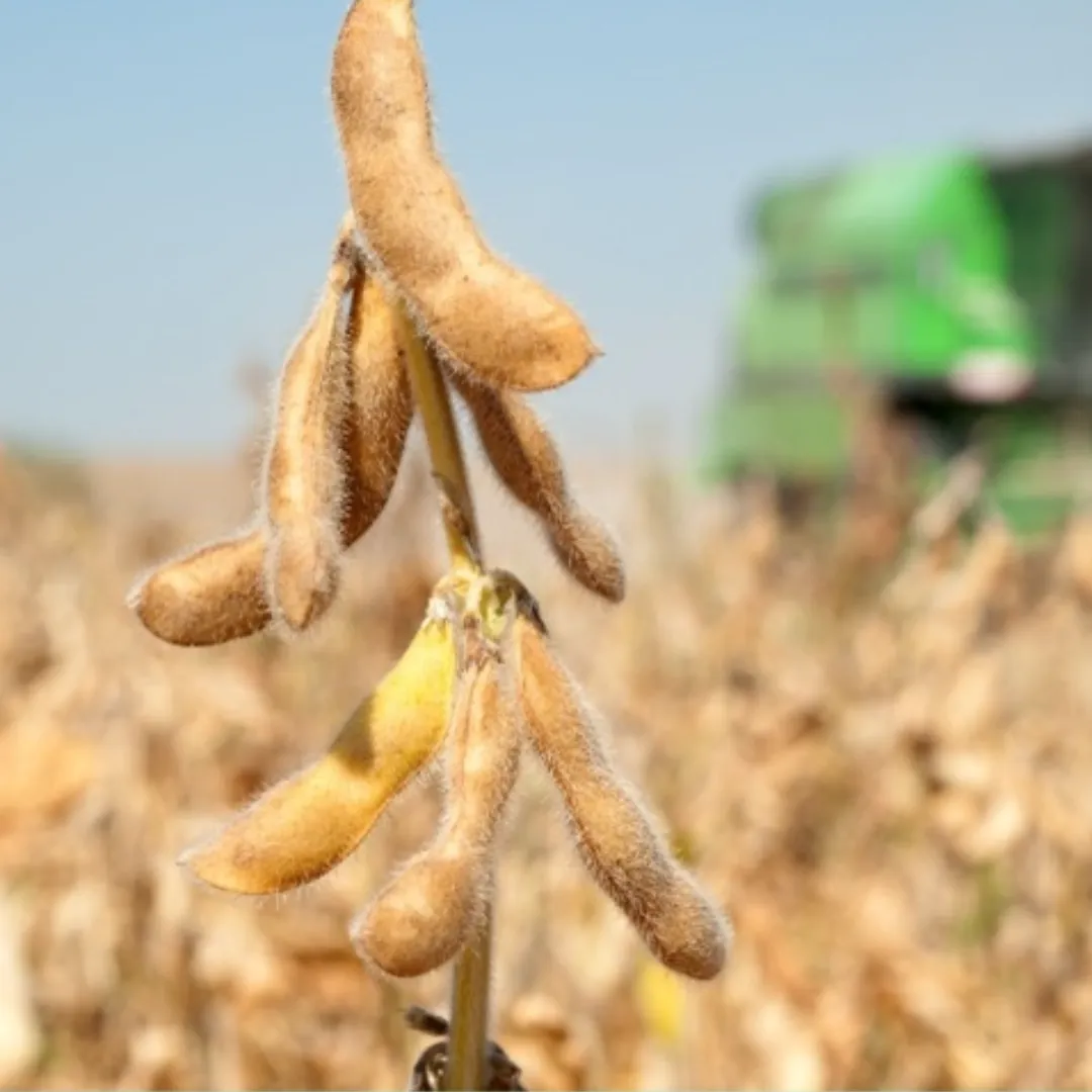 Clima e geopolítica ampliam volatilidade no agro