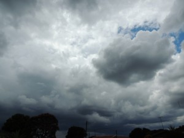  “Os efeitos do el niño na agricultura da América Latina”