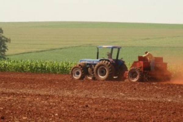 “Paraguai finaliza plantio de trigo‏”