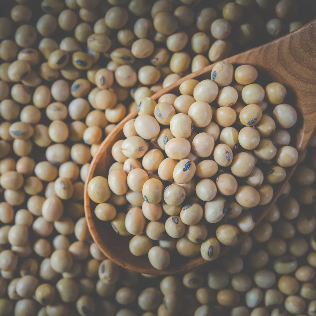 Soja enfrenta pressão: Entenda