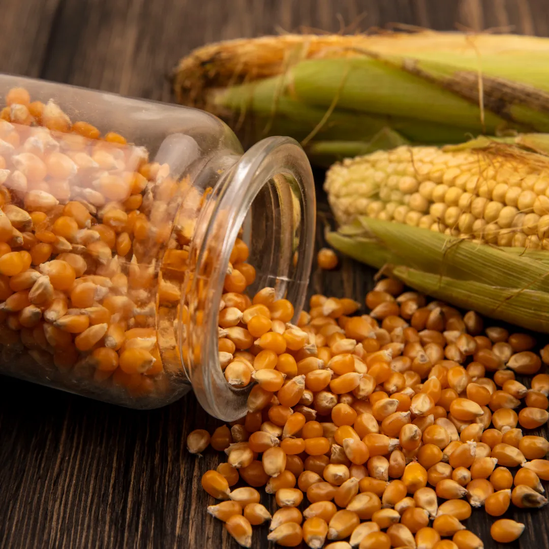 Exportações totalizam 282,8 bilhões no acumulado do ano