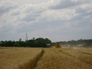 La Niña ameaça racionar chuvas na safra 2010/11