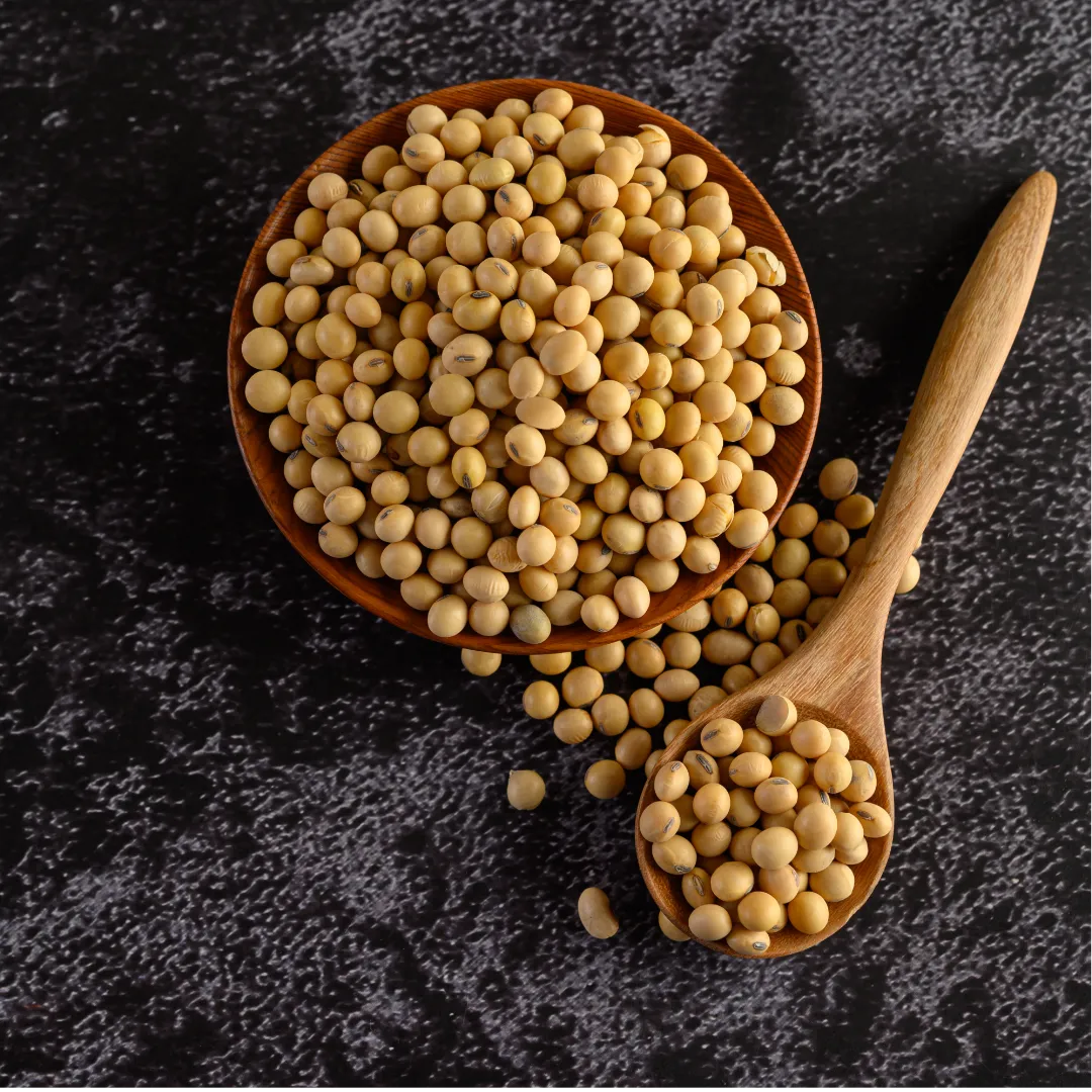 A soja vai voltar a subir?