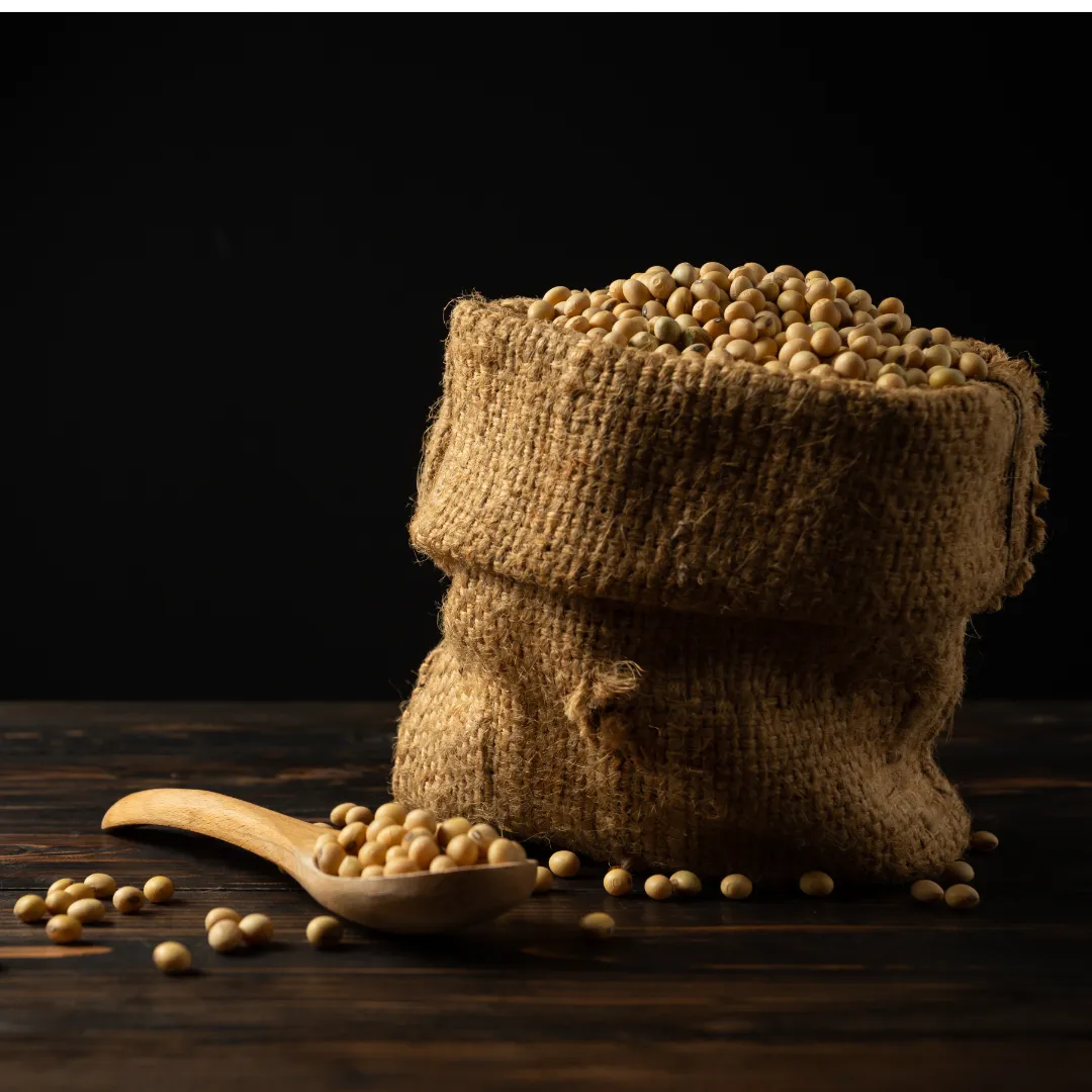 Comercialização de soja segue cautelosa