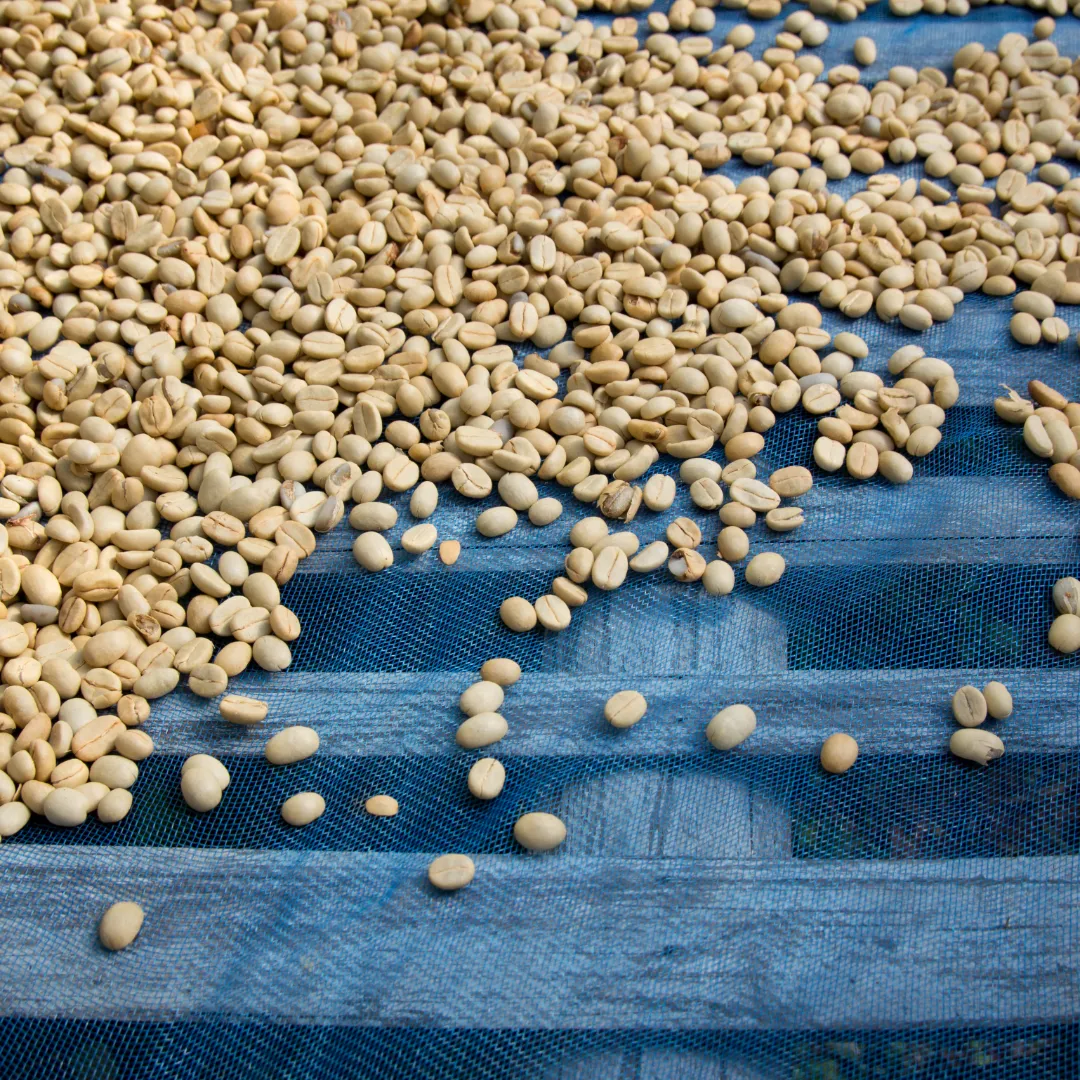 Safra de grãos 2025/26 deve atingir 353,4 milhões de toneladas