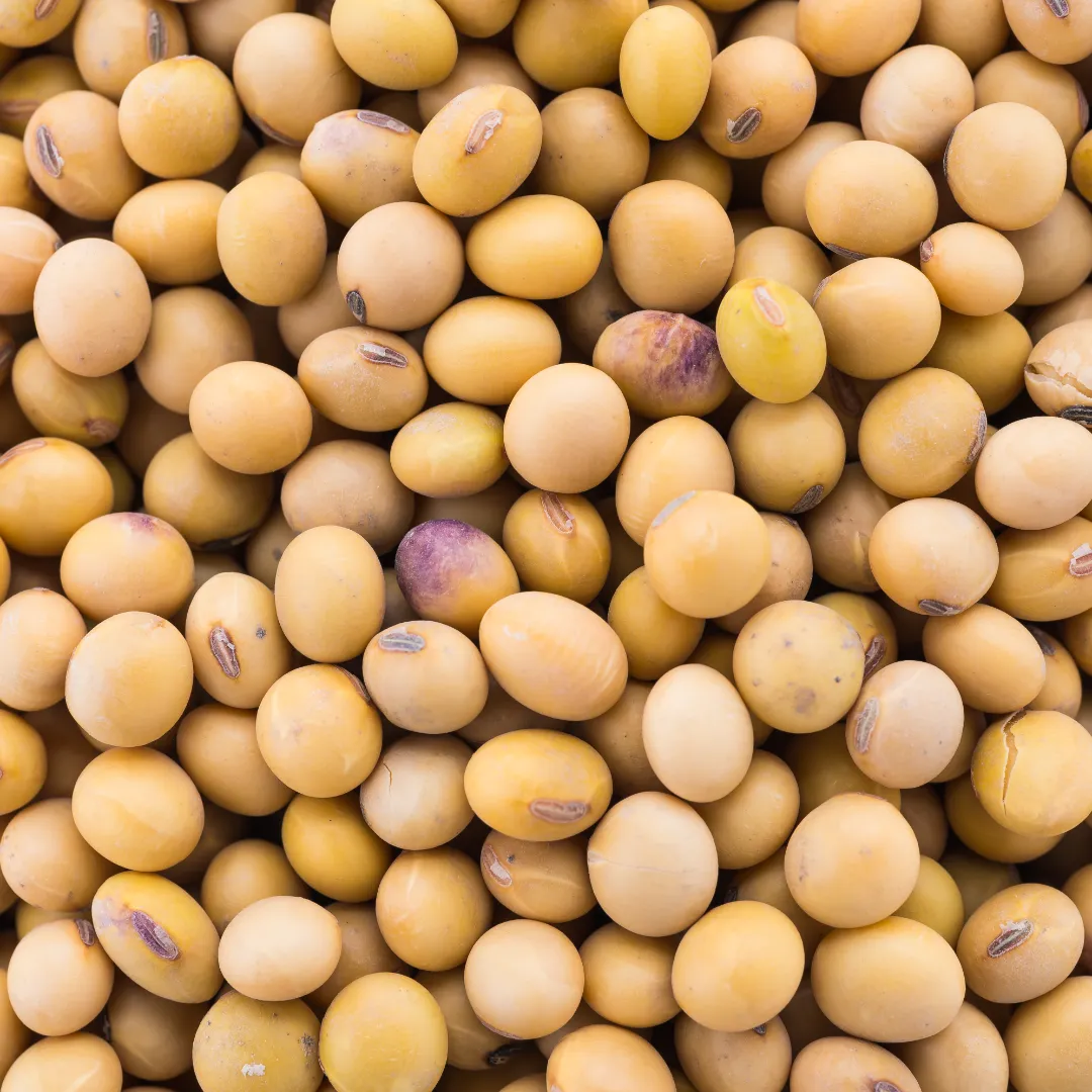 Soja tem comportamento diferente em cada estado