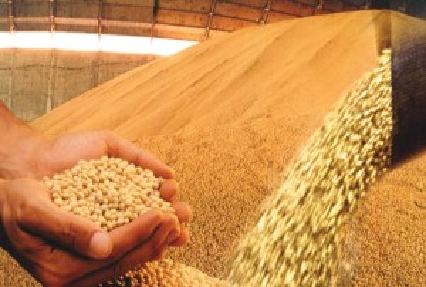  “Soja fecha setembro com maior sequência de perdas desde 2008″
